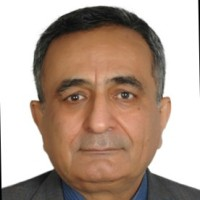 Hamid Saremi